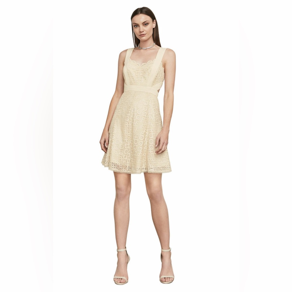 BCBG MaxAzria Metallic Lace Mini Cocktail Alena Dress Size 2 Cream Beige Silver - Picture 10 of 12
